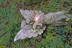 Chevalier 04