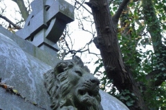 Chevalier 12