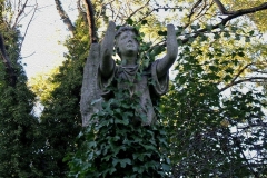 Chevalier 14