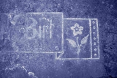 Delavante 06