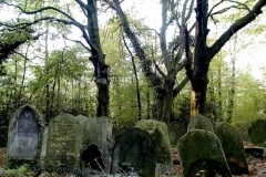 Marthinussen 13