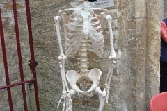 Sculpture 17